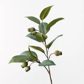 Artificial Silk Australian Native Eucalyptus GUM NUT Greenery Spray - Green (Style 1)
