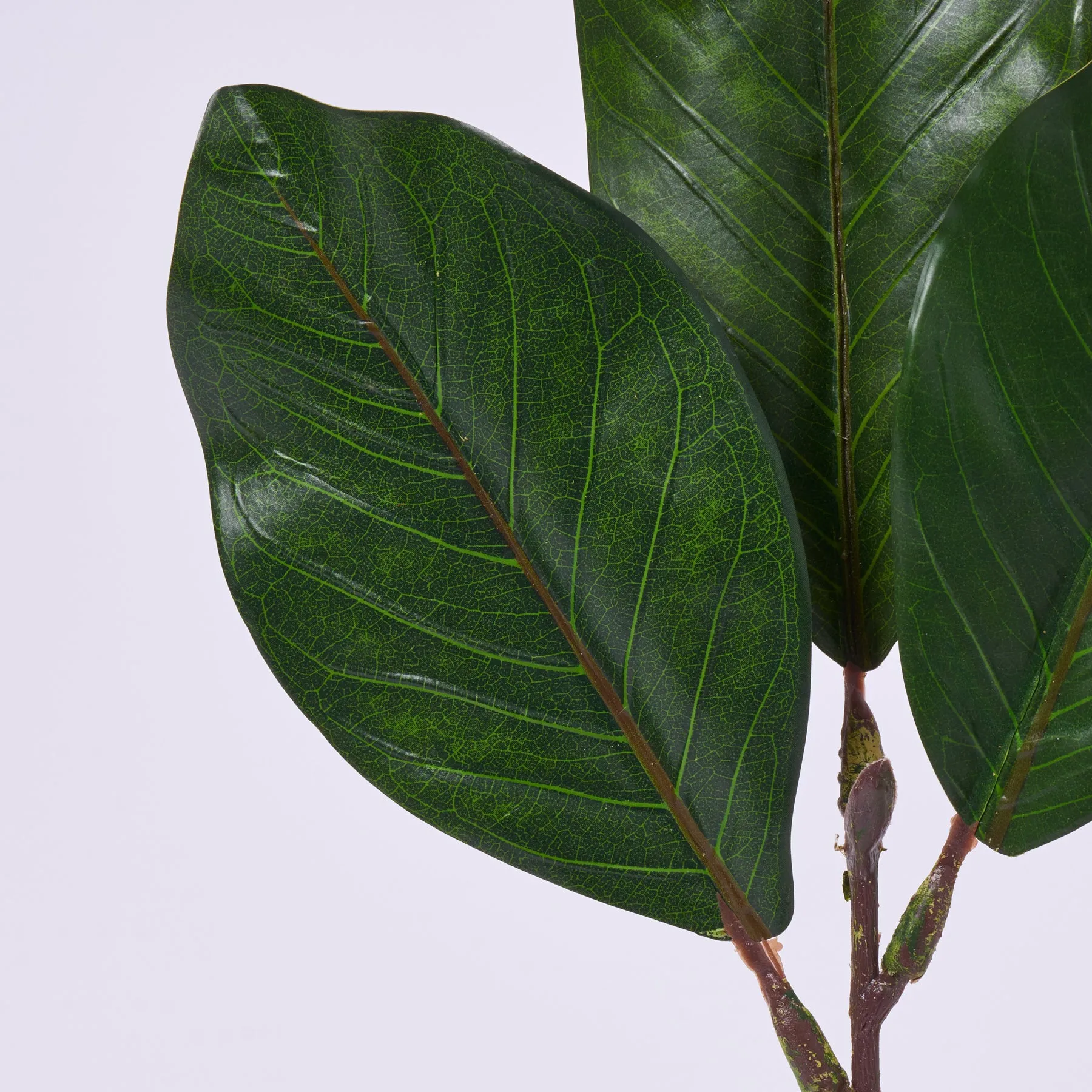 Classic Magnolia Leaf Single Faux Greenery Spray - 17"