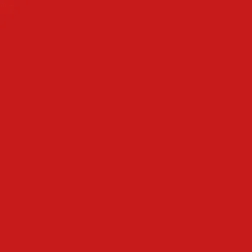 [RedCookies] GLOW WATER WRAP TINT 4.5g